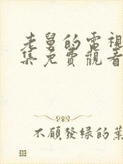 老舅的电视剧全集免费观看封面