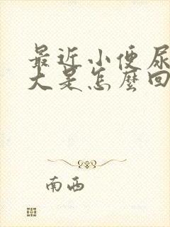 最近小便尿骚味大是怎么回事