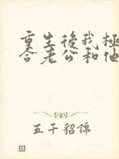 重生后我极力撮合老公和他的白月光封面