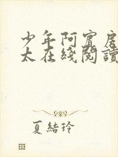 少年阿宾房东太太在线阅读txt封面