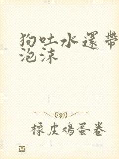 狗吐水还带白色泡沫