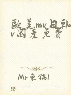 欧美mv日韩mv国产免费