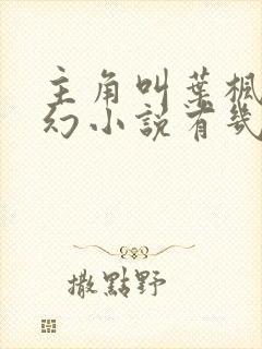 主角叫叶枫的玄幻小说有几个