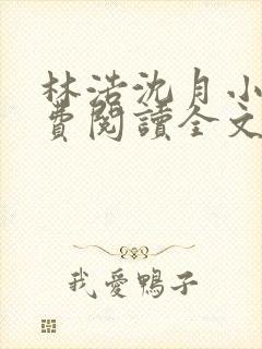 林浩沈月小说免费阅读全文