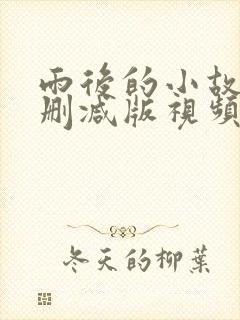 雨后的小故事无删减版视频封面