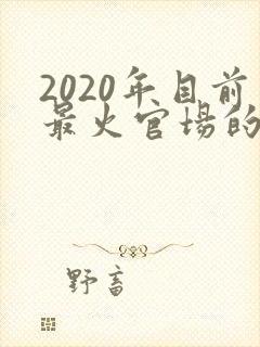 2020年目前最火官场的小说