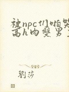 被npc们啪哭高h肉双男主小说