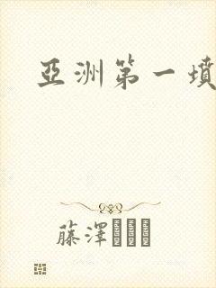 亚洲第一坟封面