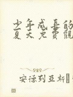 少年成长的那个夏天免费观看