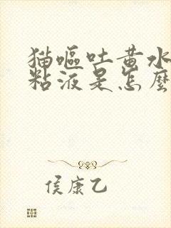 猫呕吐黄水泡沫粘液是怎么回事