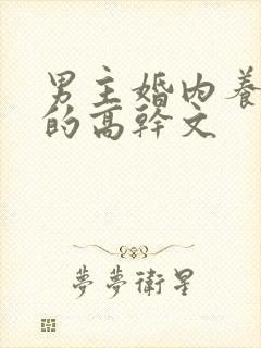 男主婚内养小三的高干文