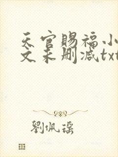 天官赐福小说全文未删减txt封面