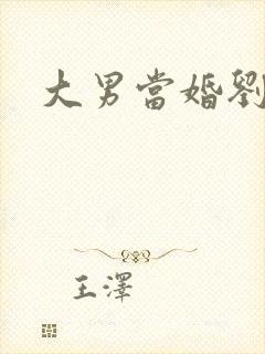 大男当婚刘晨曦