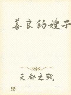 善良的嫂子 4封面