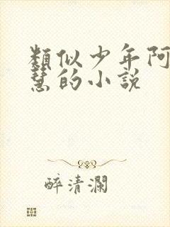 类似少年阿宾钰慧的小说