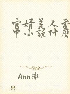 官婿美人香刘志中小说什么书名封面