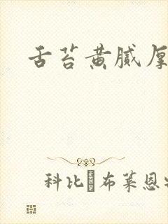 舌苔黄腻厚是引