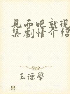 见面吧就现在分集剧情介绍