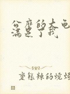 公么的大龟强大满足了我