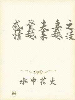 感觉夫妻之间感情越来越淡怎么解决封面