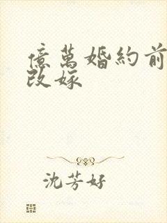 亿万婚约前妻别改嫁封面