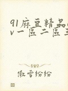 91麻豆精品av一区二区三区在线