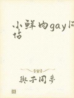 小鲜肉gay网站封面