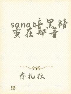 sana暗黑精灵在哪看