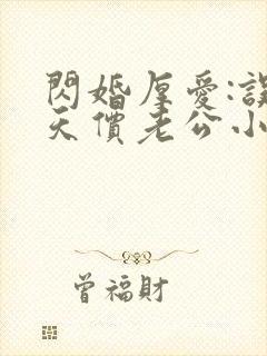 闪婚厚爱:误嫁天价老公小说