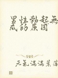 男性勃起无力形成的原因