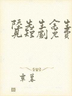 陆先生余生不再见短剧免费观看封面