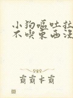 小狗呕吐拉肚子不吃东西没精神怎么办