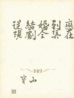 从结婚到恋爱电视剧全集在线观看封面