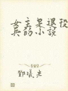 女主是退役特种兵的小说