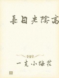 长日光阴高h