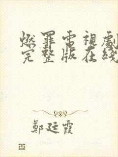 燃罪电视剧免费完整版在线播放