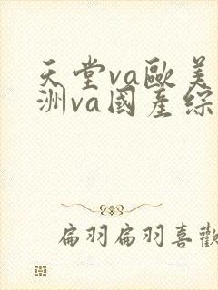 天堂va欧美亚洲va国产综合a封面