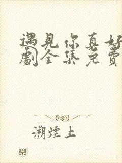 遇见你真好电视剧全集免费观看