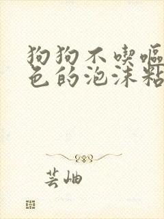 狗狗不吃呕吐白色的泡沫粘液