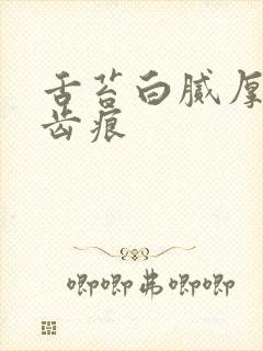 舌苔白腻厚 有齿痕