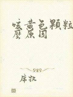 咳黄色颗粒痰什么原因