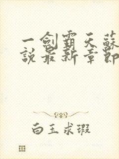 一剑霸天苏信小说最新章节