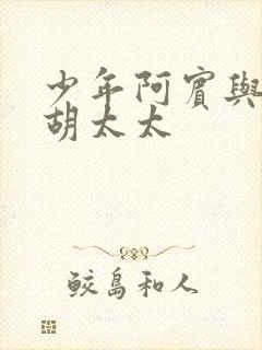 少年阿宾与房东胡太太封面