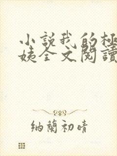 小说我的极品小姨全文阅读