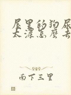 屋里的狗尿骚味太浓怎么去除