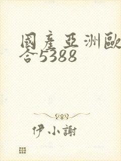 国产亚洲欧洲综合5388