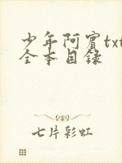 少年阿宾txt全本目录