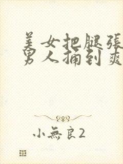 美女把腿张开让男人捅到爽