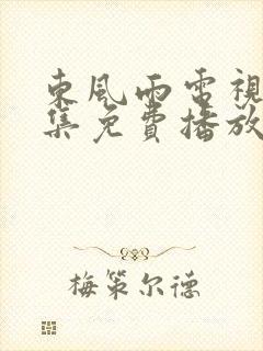 东风雨电视剧全集免费播放在线观看