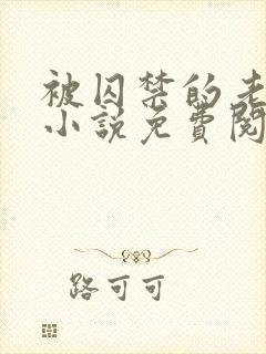 被囚禁的老实人小说免费阅读